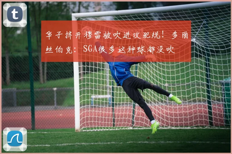 华子挤开穆雷被吹进攻犯规！多丽丝伯克：SGA很多这种球都没吹